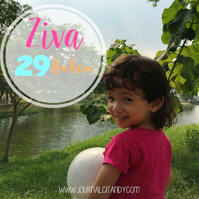 Zivara 29 Bulan